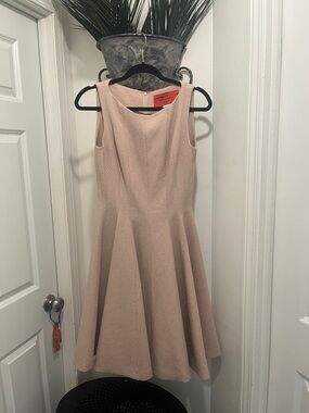 Chic Sleeveless Blush Dress